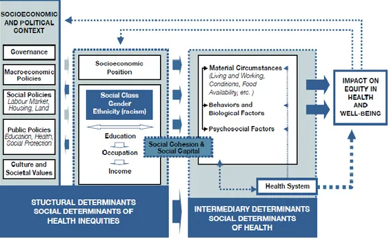 Figure 1: Forme finale du cadre conceptuel de la Commission des déterminants sociaux de la santé