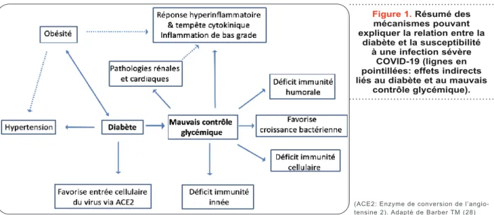 Figure 1. Résumé des   mécanismes pouvant   expliquer la relation entre la 