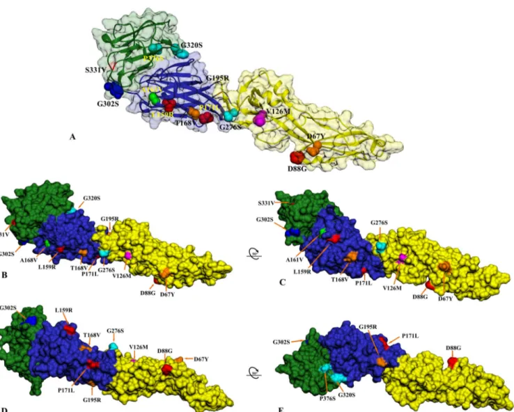 FIG 5 Structural location of the USUV mutations in different hosts from Africa and Europe depicted on the predicted USUV envelope glycoprotein structure.