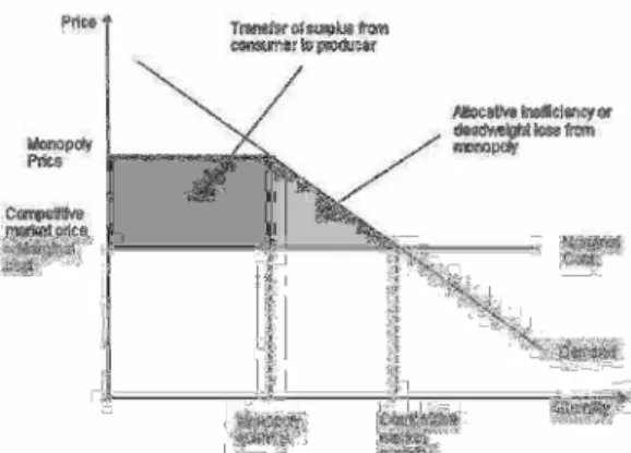 Figure 1 – The allocative inefficiency of SMP 