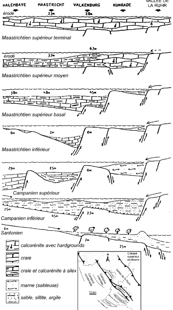 Figure 7. Relations entre la hausse du niveau marin et l’inversion de la tectonique sur les environnements de dépôt au  cours du Crétacé supérieur entre la région d’Halembaye et la vallée de la Ruhr