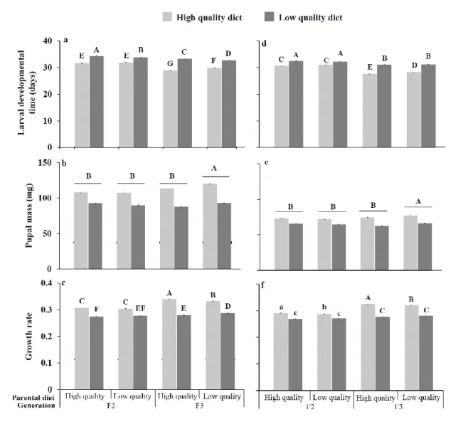 Figure 2.3. Mean (± SE of the interaction) developmental time, pupal mass and growth rate (mg /day) of spruce  budworm influenced by diet, parental diet and generation for females (a to c) and males (d to f)