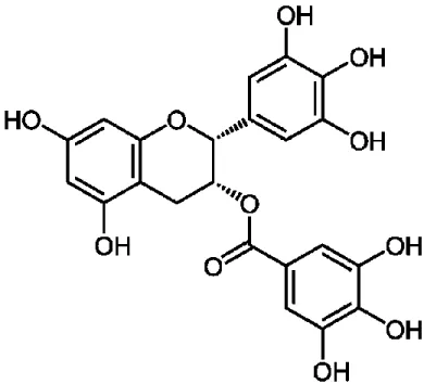 Figure 5. Structure moléculaire de l’épigallocatéchine-3-gallate. 