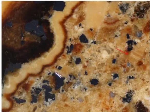 Figure  1.  Crossed  polars  image  in  reflected  light  showing  zonation  patterns  in  sphalerite  and  galena  inclusions