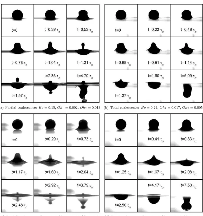 FIG. 2: Partial and total oalese nes of droplets at liquid/liquid interfaes. The whole proess is saled by the apillary time