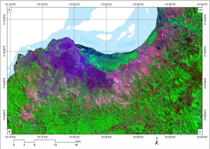 Figure 3. Région de Kinshasa en composition colorée fausses couleurs. Source : LANDSAT 2015 (SRC : UTM  zone 33S)