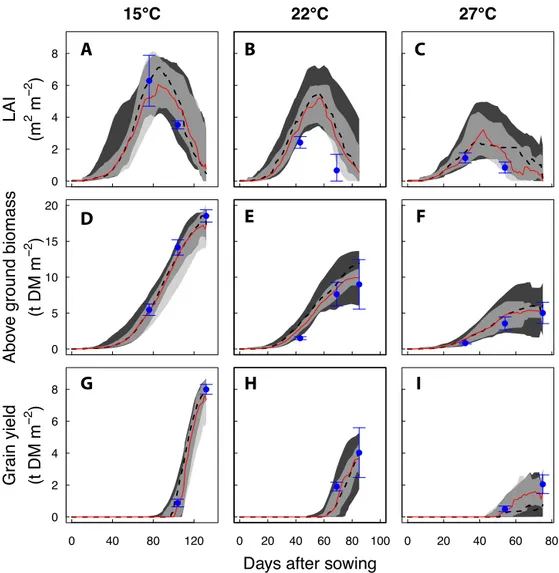 Fig. 2. Simulated and measured wheat growth dynamics for the calibration data set. (A–C) leaf area index (LAI), (D–F) total above ground biomass, and (G–I) grain yield versus days after sowing for mean growing season temperatures 15 ◦ C (A, D, and G), 22 ◦