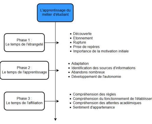 Figure 4 : L'apprentissage du métier d'étudiant, d’après Coulon (2005). 