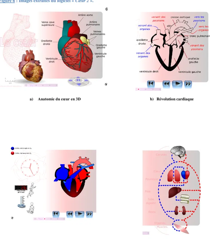 Figure 6 : Images extraites du logiciel « Cœur 2 ».  