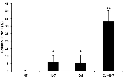Figure 4 : Le collagène coopère avec l’IL-7 pour augmenter la production d’IFN-γ. 