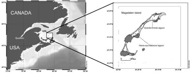 Figure 2.1: Map of Magdalen Islands, Gulf of St. Lawrence (GSL). The dark grey areas are regions of solidrock  whereas the light grey regions surrounding the lagoons are sand bars