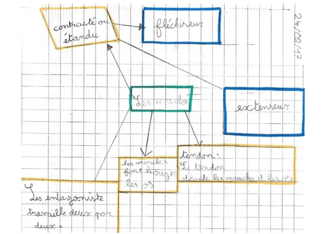 Illustration  4: Exemple de carte mentale présentant une organisation en réseau