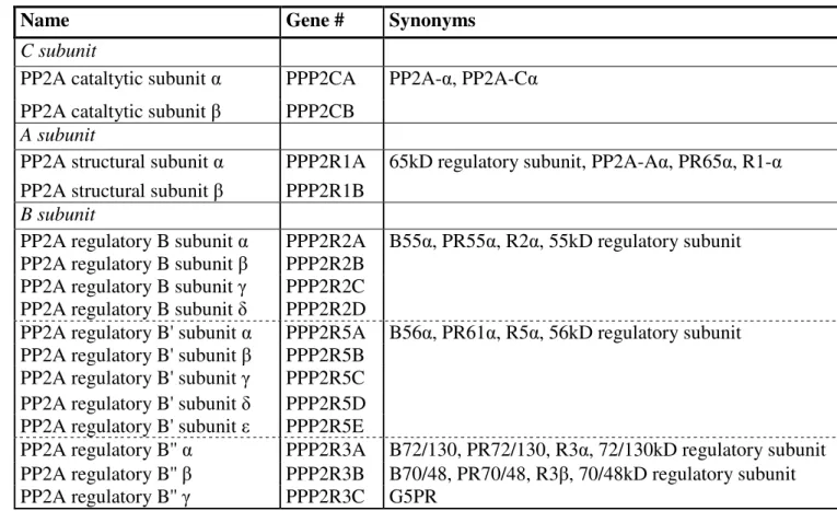 Table 1. Nomenclature and corresponding gene names of PP2A various subunits 
