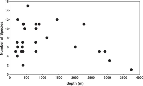 Fig. 4. Relation between species richness of necrophagous amphipods and depth.