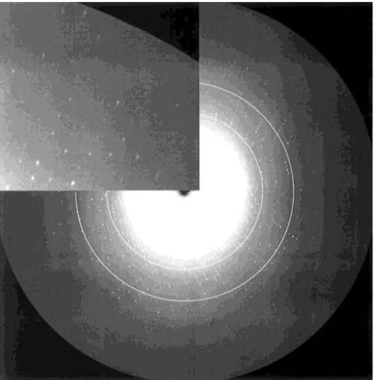 Fig. 2. X-ray rotation image obtained from the crystal of pike parvalbumin shown in Fig