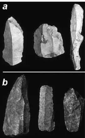 Fig. 5 Trou Da Somme. Main lithic raw materials.  –  a flint, – b silicified limestone.