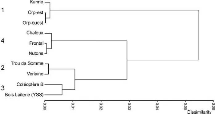 Fig. 9 Dendrogram summarizing the results of ascendant hierarchical classification for ten Belgian Magdalenian sites.