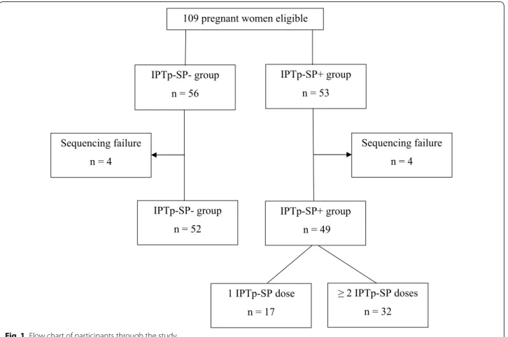 Fig. 1  Flow chart of participants through the study