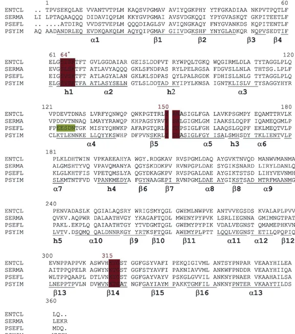 Fig. 2. Sequence alignment of class C b-lactamases from Pse. fluorescens (PSEFL), Psy