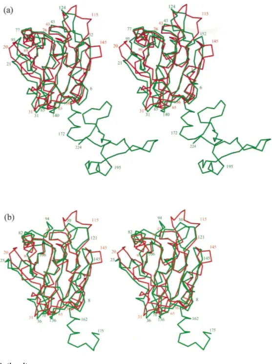 Figure 2. Structural comparisons with other peroxiredoxins. Stereoscopic view of a superposition between the  C α  traces of PRDX5 (red) and (a) hORF6, (b) HBP23 (green)