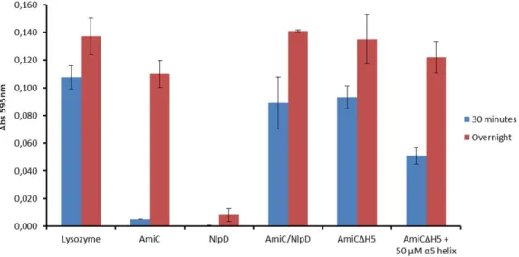 Fig. 4. Helix α 5 of AmiC is involved in the activation mechanism by NlpD. The dye-release assay allows the following of the hydrolysis of RBB-labelled peptidoglycan