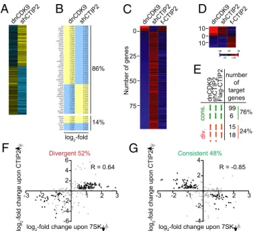 Fig. 4. CTIP2 regulates P-TEFb – sensitive genes. (A) Genes modulated by the knockdown of CTIP2 in microglial cells were compared with the genes modulated by an inhibition of Cdk9 activity (expression of the dnCdk9 construct) (4)
