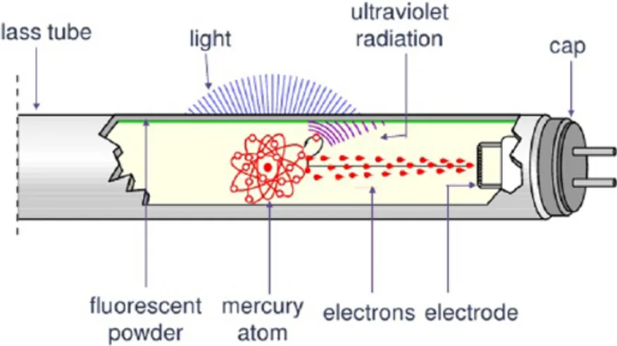Figure 5. Structure of double-capped linear fluorescent lamp (CREE Inc., 2015).
