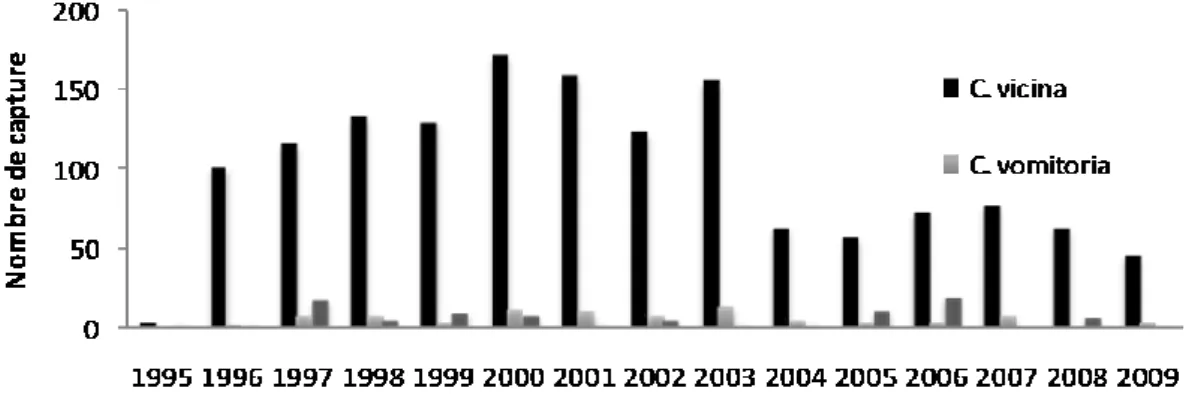 Figure 2: Abondance relative des Calliphorinae capturés par les étudiants en fonction de l’année de récolte