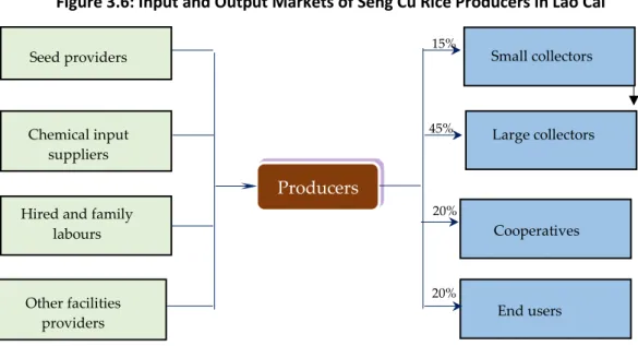 Figure 3.6: Input and Output Markets of Seng Cu Rice Producers in Lao Cai 