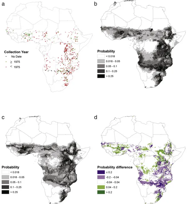 Fig. 1.Acacia sieberiana is mapped at an African scale from georeferenced locality data on herbarium labels (a)
