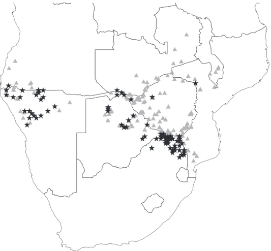 Fig. 3. Map of the northern regions of southern Africa showing localities ofColophospermum mopane obtained from the Global Biodiversity Information Facility (black stars), and from label information of Acacia herbarium specimens (grey triangles).
