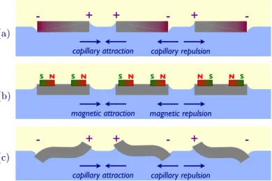 Figure 1. Sketch of the interaction between neighboring particles. (a) The facets of particles can be treated differently in order to change the wetting properties: hydrophilic in gray, hydrophobic in red