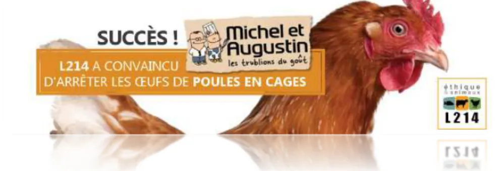 Figure 6 : bannière mise en ligne à l’issue d’une campagne à succès contre Michel et  Augustin ©L214, 2016