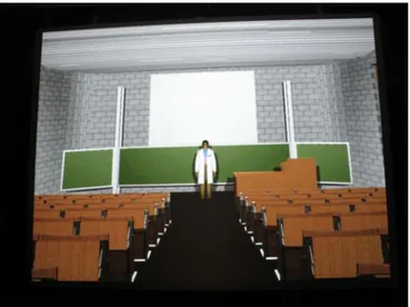 Figure 1: View of the screen in the immersion studio. 