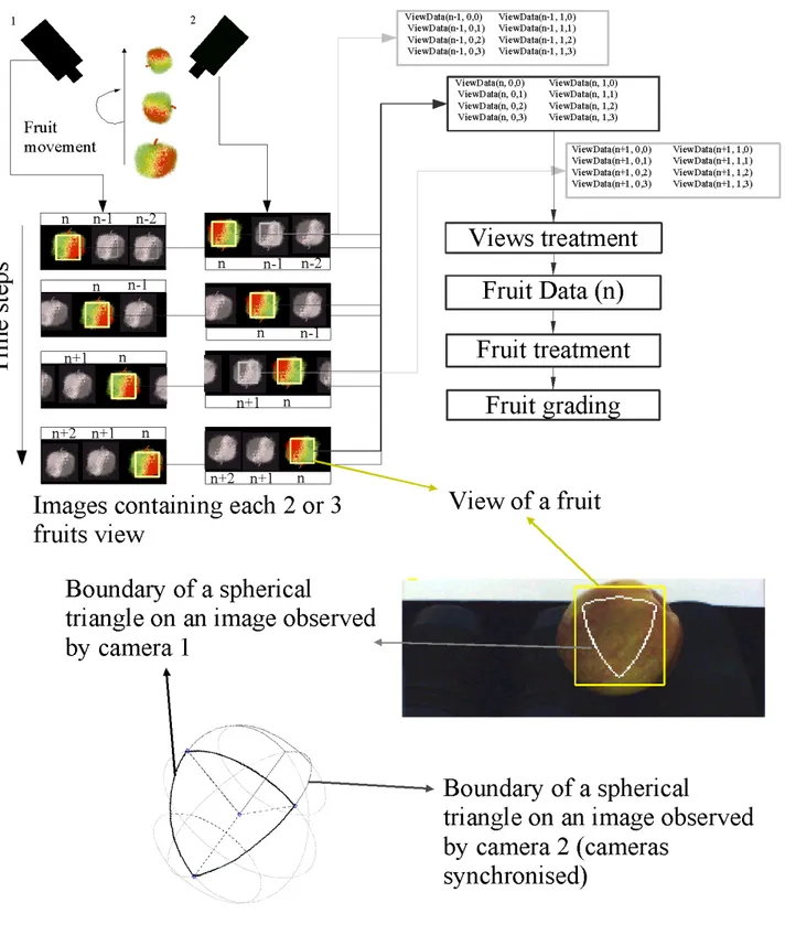 Figure 3 : Information flow in the proposed method and definition of the views.  The upper part show a diagram of the  set of images acquired for a fruit and the information flow related to that fruit