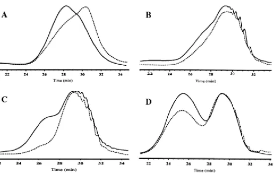 Fig. 4. SEC chromatograms of the product extracted by acetone from PC/copolymer (50/50) blends after  reaction in benzophenone at 240°C: RI (—) and UV (– – –) detections