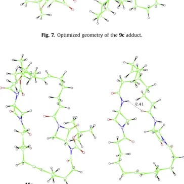 Fig. 7. Optimized geometry of the 9c adduct.