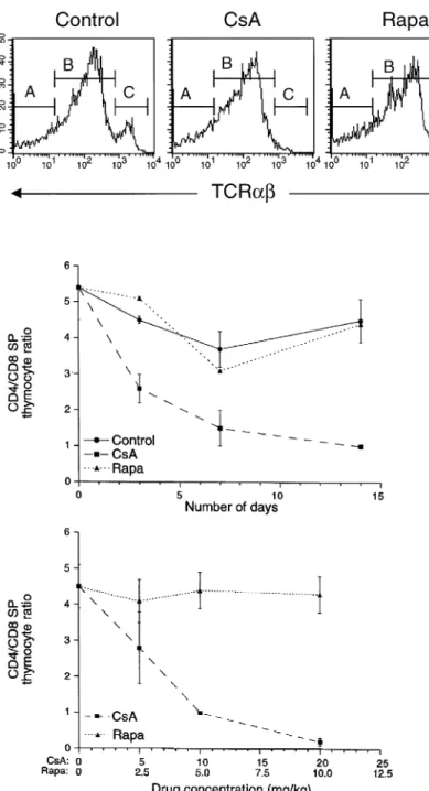 Fig. 3. In vivo administration of cyclosporin-A (CsA), but not Rapamycin (Rapa), differentially affects the development of CD4 and CD8 single-positive (SP), mature thymocytes