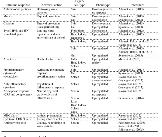 Table 9 - Immune responses of Cyprinus carpio to Cyprinid herpesvirus 3 infection (adapted 2345 