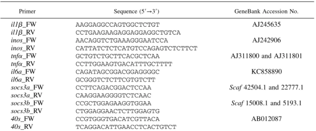 Table I. Primers used for real time-quantitative PCR