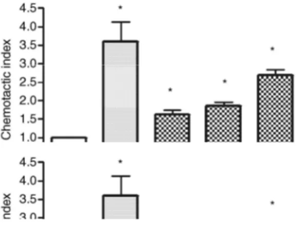 Figure 1: Eosinophil chemotaxis induced by LTD 4  (0.001-10 nM) and PAF (100 nM) in the Boyden 