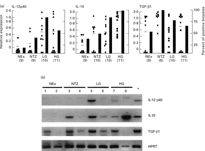 Fig. 1. Increased expression of IL-12p40 and IL-10 in squamous intraepithelial lesions (SIL)
