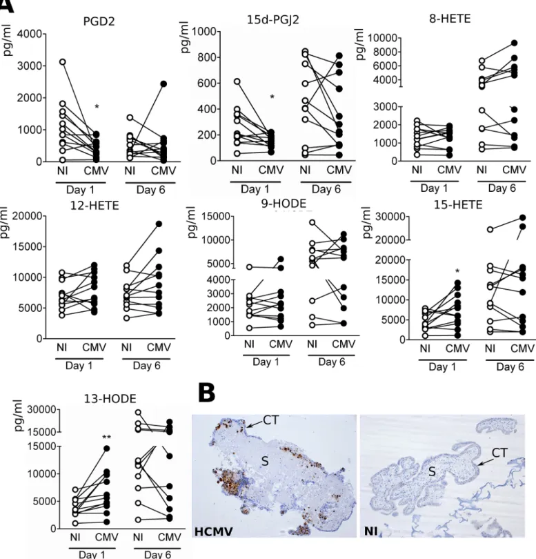 Fig 3. Increased amounts of 15-HETE and 13-HODE secreted by from early placenta explants infected by HCMV