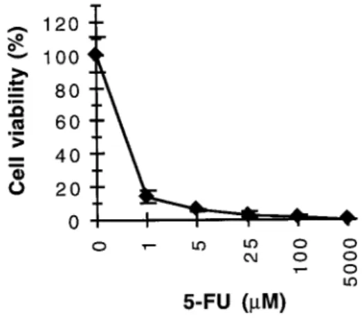 Figure 1. Cytotoxic effect of 5-FU on DHD/K12 cells in vitro.