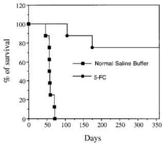 Figure 5. Survival of rats injected with DHD/K12-CMV-CD cells and treated with 5-FC. Two groups of eight rats were injected i.p