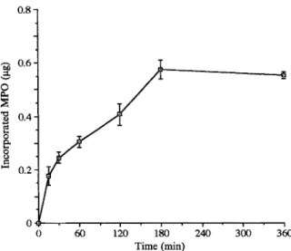 FIG. 1. Kinetics of MPO uptake by HUVEC (4 x 10 ceils). Con-