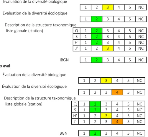 Tableau 3 : Evaluation de la diversité et l’IBGN dans les stations du Hoyoux et du Triffoy (prélèvements  d’avril 2014)