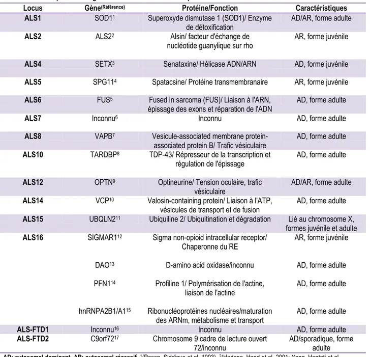 Tableau 1.1 Principaux loci et gènes mutés identifiés chez les patients atteints de SLAF 