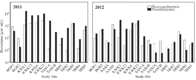 Figure 2.6. Picophytoplankton biovolume in the surface water of shallow rock-basin  (SRB)  and  permafrost  thaw  lakes  located  on marine  clays  (KWK,  BGR,  NAS)  and  peatlands (SAS)