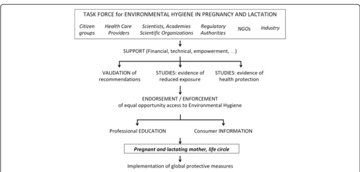 Fig. 3 Implementation of Environmental Hygiene. A task force involving the different stakeholders is proposed and provides support to the initiative including financial, technical and any other aspects